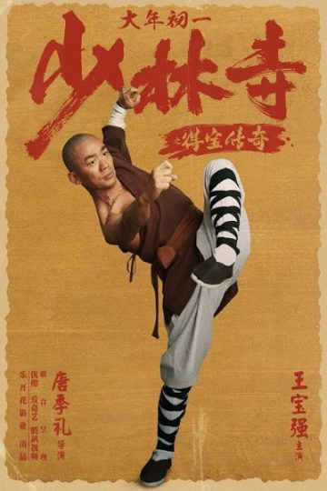 Rising Shaolin The Protector movie